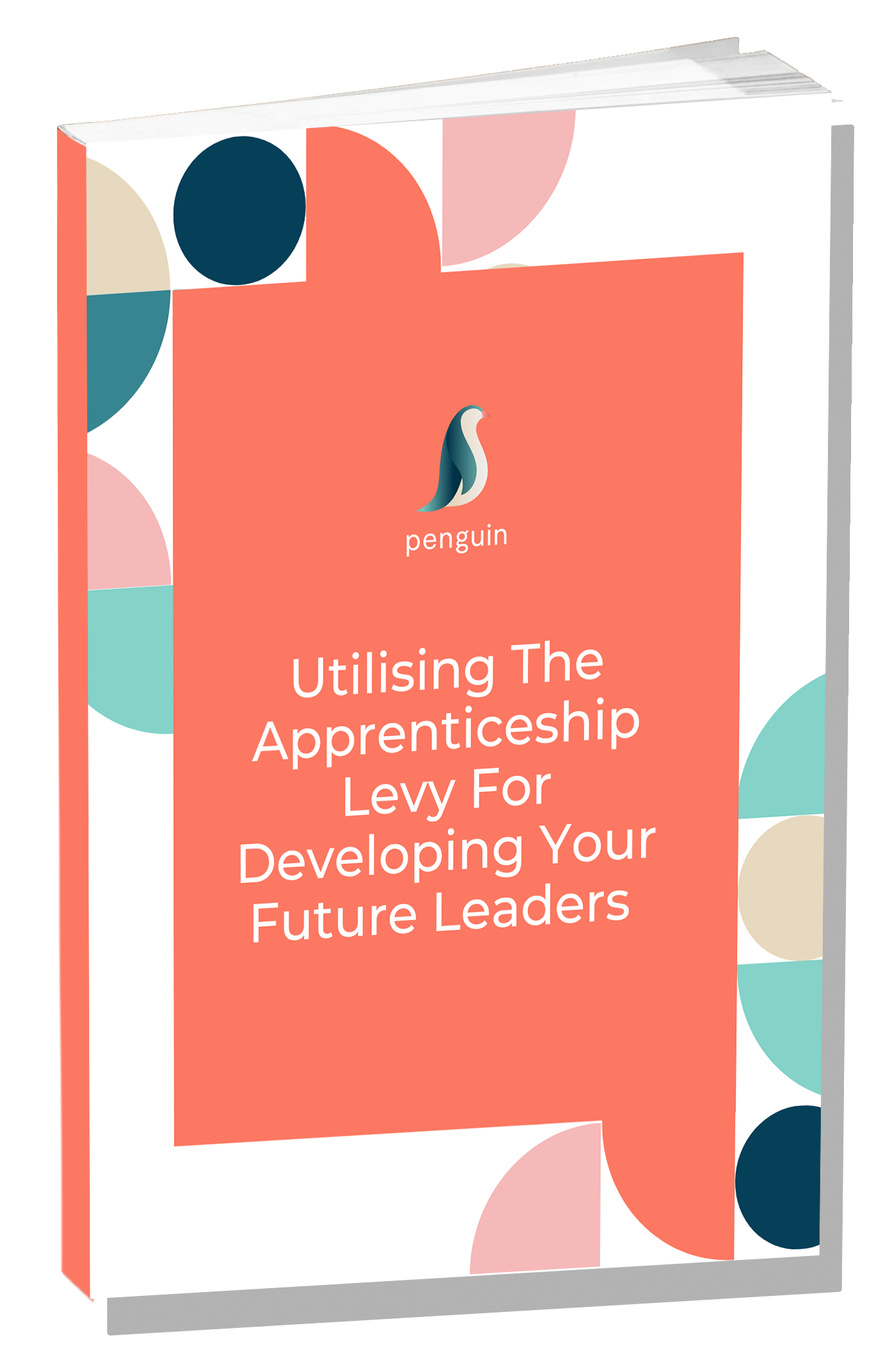 Penguin Learning Ebook Cover Guide with Shadow