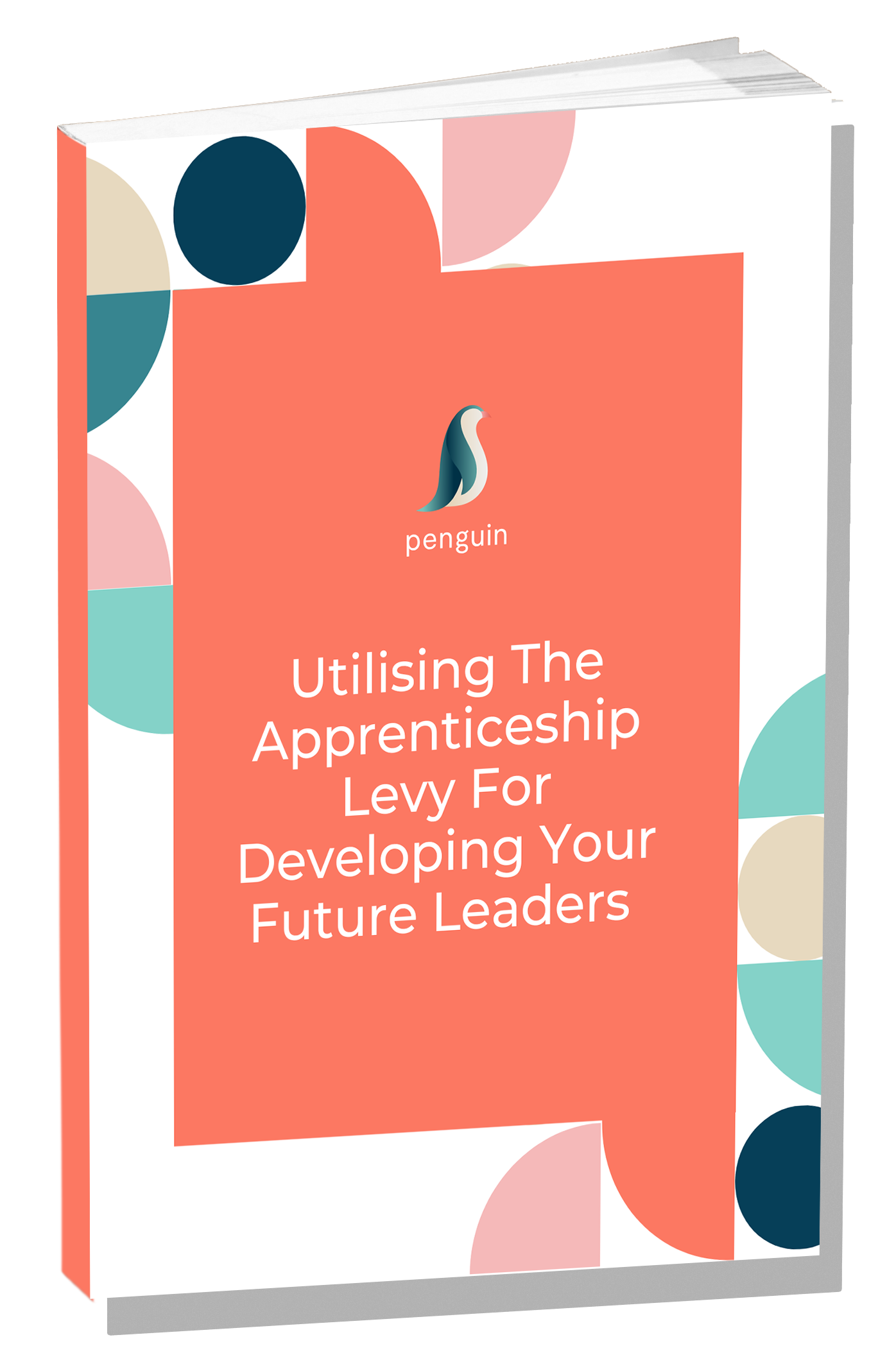 Penguin Learning Ebook Cover Guide with Shadow